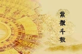 紫微天相命宮|天相星入命宮